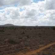kenia